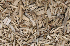 biomass boilers Risca